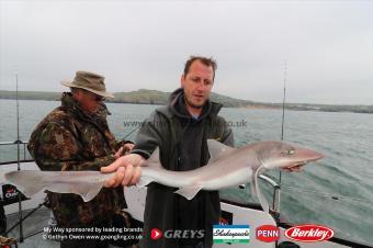 12 lb Starry Smooth-hound by Mark