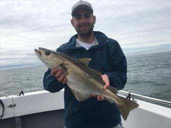 5 lb 5 oz Pollock by Charlie