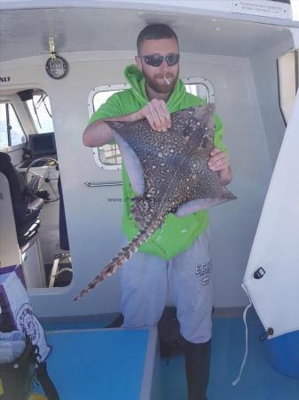 10 lb Thornback Ray by Unknown