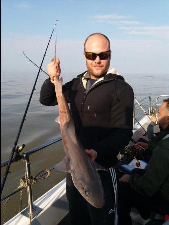 12 lb Smooth-hound by Unknown