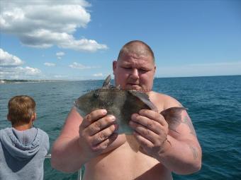 1 lb Trigger Fish by Unknown