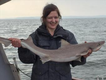 12 lb 2 oz Smooth-hound (Common) by Laura Michael