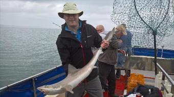 15 lb Smooth-hound (Common) by Stephen Wake