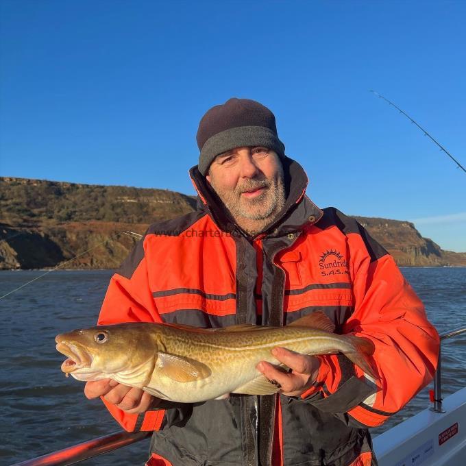 4 lb Cod by Phil Smalley