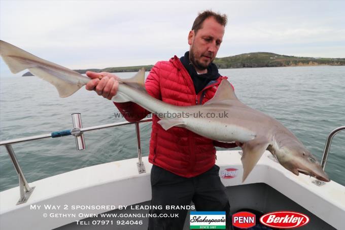 20 lb Starry Smooth-hound by Mark