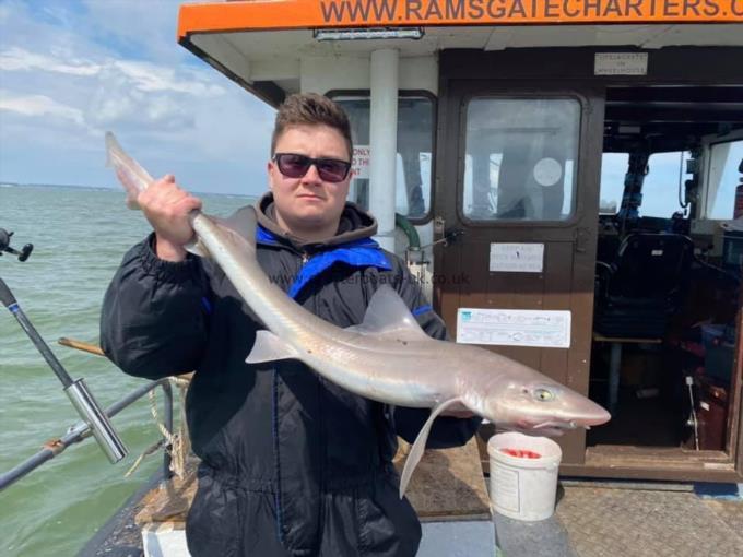 6 lb Smooth-hound by Unknown