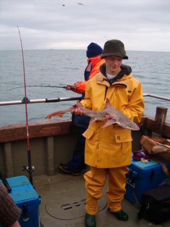 7 lb 6 oz Starry Smooth-hound by Unknown