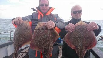 5 lb 8 oz Thornback Ray by steve from charing