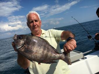 4 lb 11 oz Black Sea Bream by Unknown