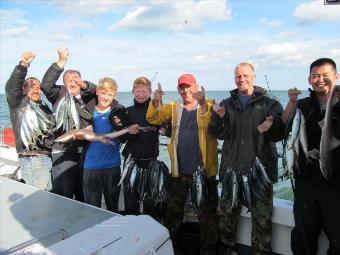 1 lb Mackerel by Leicester Boys!