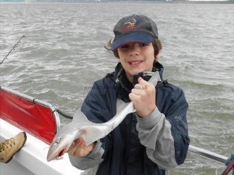 1 lb 5 oz Smooth-hound by Ethan