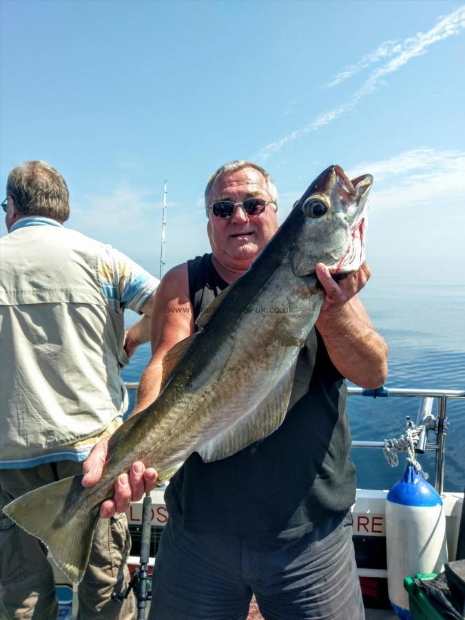 8 lb 8 oz Pollock by Unknown