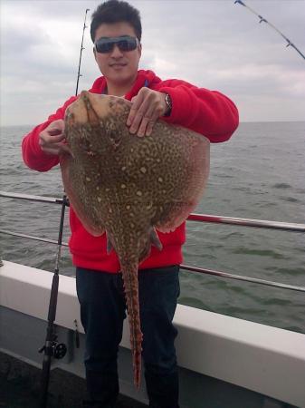 12 lb Thornback Ray by Bob Marshall