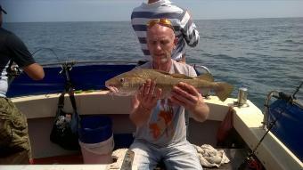 4 lb Cod by Stephen Wake