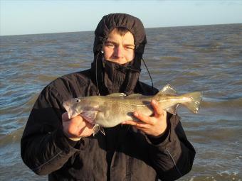 3 lb Cod by Radlek