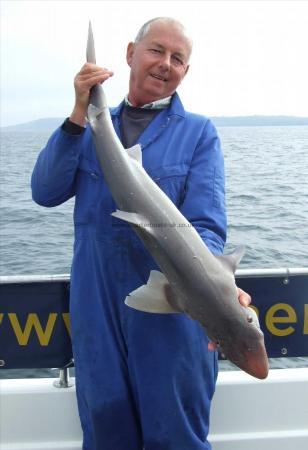 13 lb 8 oz Spurdog by Dave Metcalf