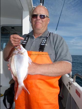 2 lb Couch's Sea Bream by Colin