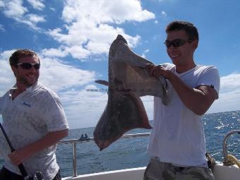 7 lb Thornback Ray by Unknown