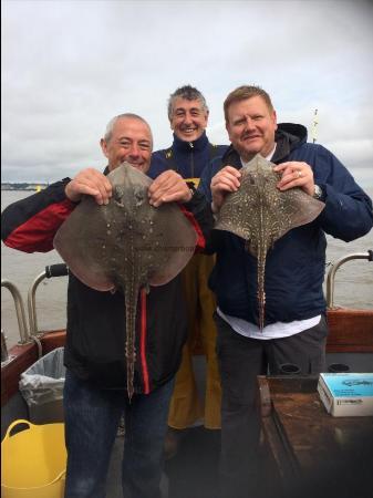 4 lb Thornback Ray by Unknown