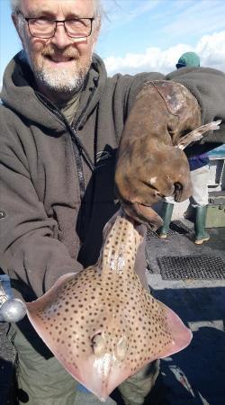 4 lb Spotted Ray by paul