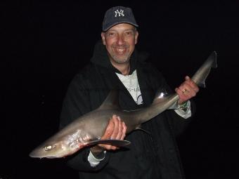 10 lb Starry Smooth-hound by big guy