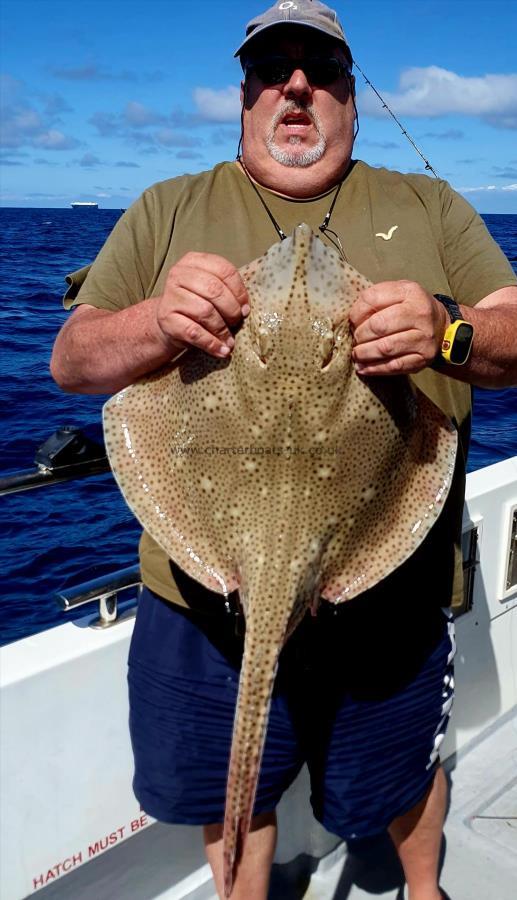 12 lb Blonde Ray by Ian