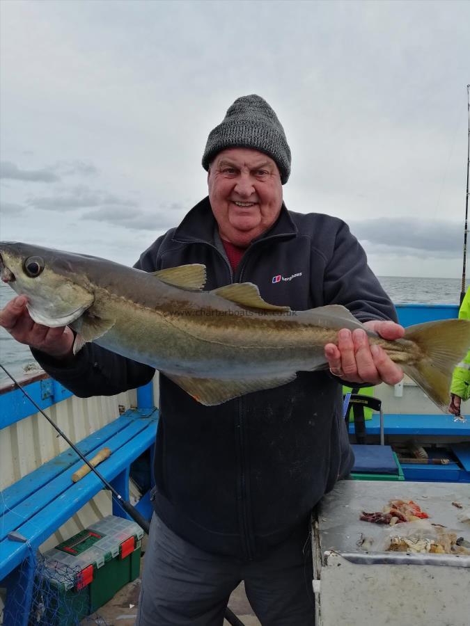 7 lb 3 oz Pollock by Unknown