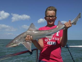 8 lb Smooth-hound (Common) by Unknown