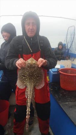 4 lb Thornback Ray by Unknown