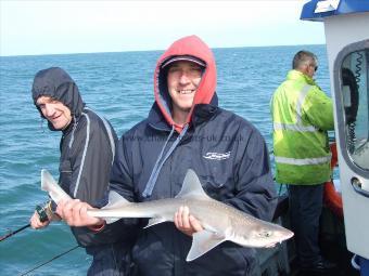 7 lb 2 oz Starry Smooth-hound by Unknown