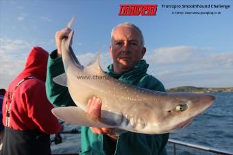 7 lb Starry Smooth-hound by Gary