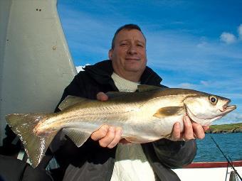 4 lb Pollock by Alan