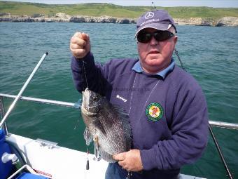 4 lb 4 oz Black Sea Bream by Barney Campbell