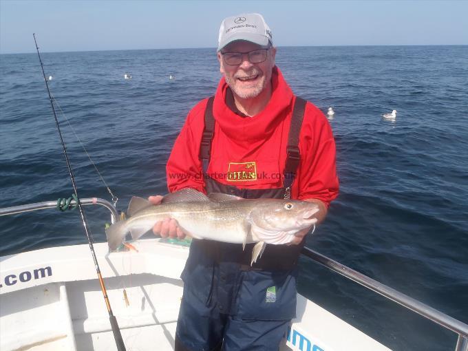 6 lb Cod by Alan Sutcliffe.