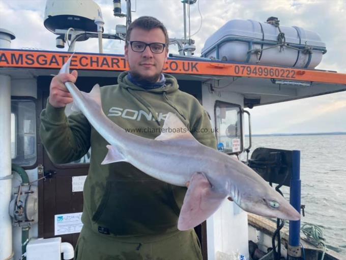 11 lb Smooth-hound by Unknown