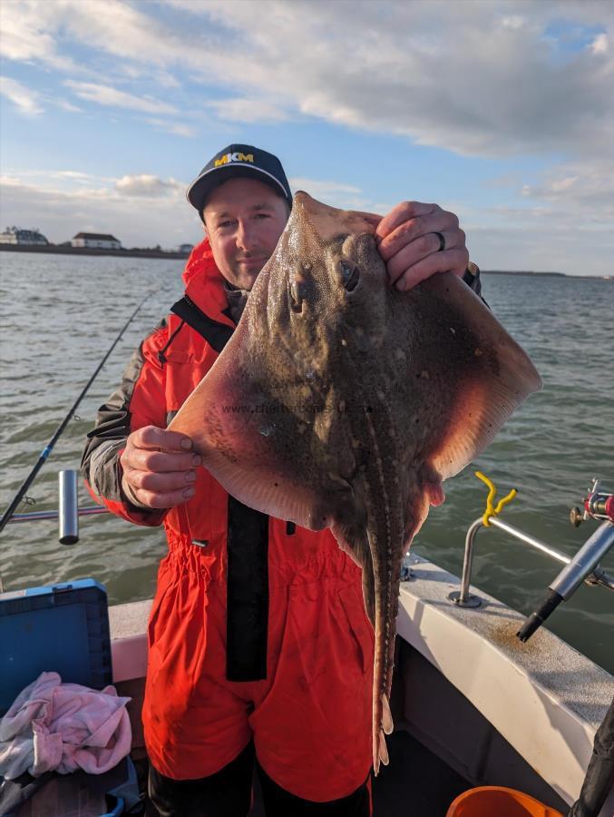 6 lb Thornback Ray by Mark