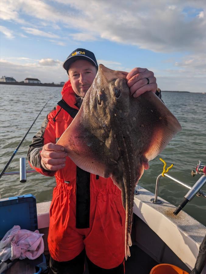 6 lb Thornback Ray by Mark