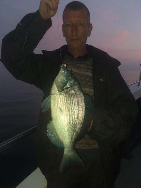 2 lb 9 oz Black Sea Bream by Billy