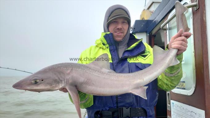 14 lb 2 oz Starry Smooth-hound by Sean from Essex