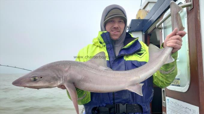 14 lb 2 oz Starry Smooth-hound by Sean from Essex