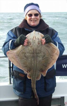 12 lb 8 oz Undulate Ray by Denise Youngs