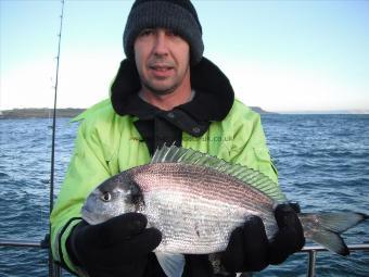 3 lb 2 oz Gilt-head Sea Bream by Gary