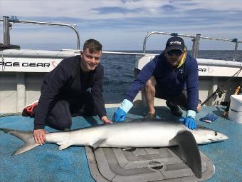 99 lb 3 oz Blue Shark by Kevin McKie