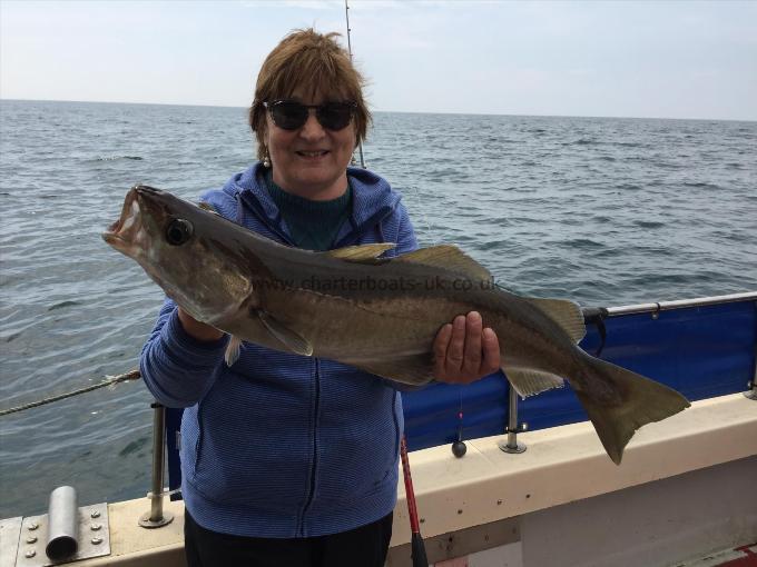 7 lb 8 oz Pollock by Sue Speary