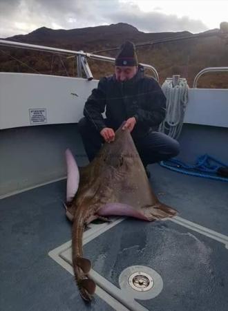 52 lb Common Skate by Unknown