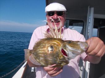 1 lb 12 oz John Dory by Jon Himpfen