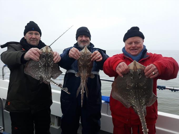 4 lb Thornback Ray by Mick,Martin John