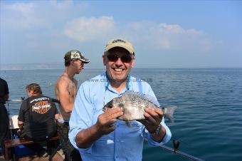 2 lb 8 oz Black Sea Bream by Stephen Wake