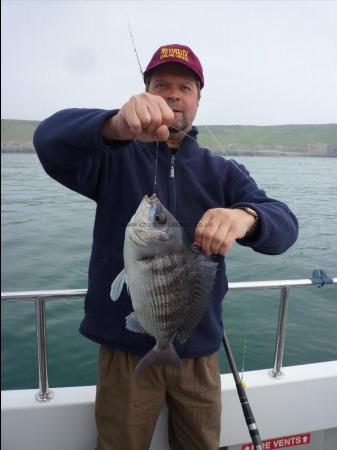 3 lb Black Sea Bream by Unknown