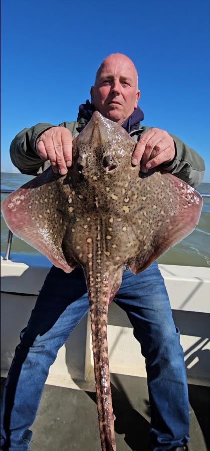 12 lb Thornback Ray by Mark